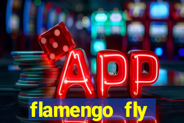 flamengo fly emirates ultimas noticias